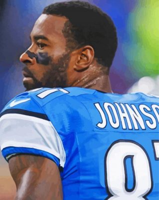 Calvin Johnson Paint By Numbers