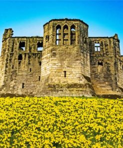 Daffodils Warkworth Castle Paint By Numbers