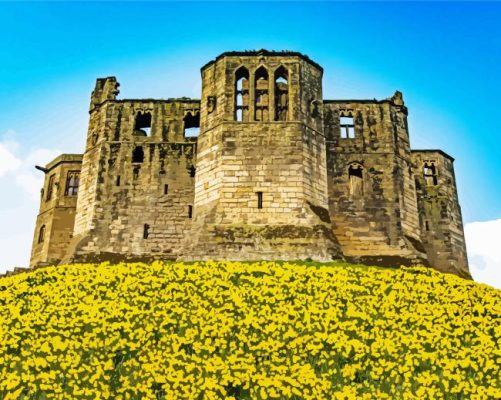 Daffodils Warkworth Castle Paint By Numbers