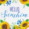 Hello Sunshine Paint By Numbers