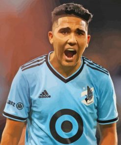 Minnesota United FC Team Player Paint By Numbers