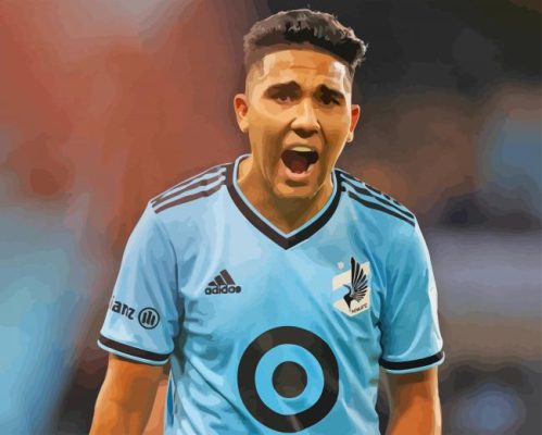 Minnesota United FC Team Player Paint By Numbers