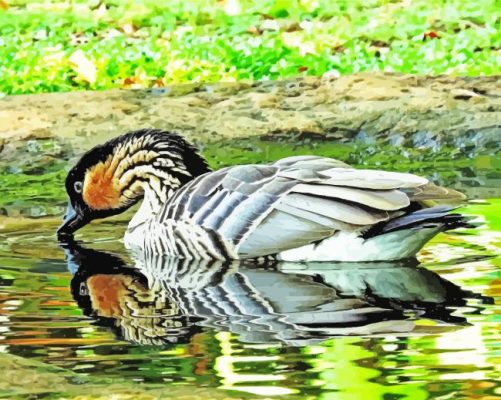 Nene Goose Bird In Pond Paint By Numbers