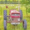 Old Massey Ferguson Tractor In Farm Paint By Numbers