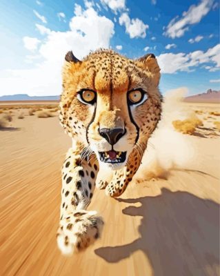 Running Cheetah Paint By Numbers