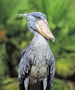 Shoebill Stork Paint By Numbers