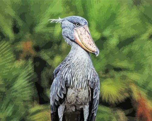 Shoebill Stork Paint By Numbers