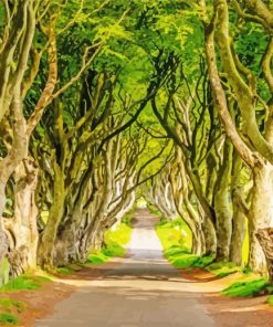The Dark Hedges Paint By Numbers