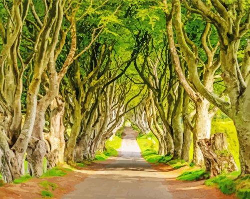 The Dark Hedges Paint By Numbers