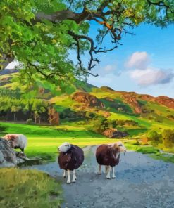 The Lake District Paint By Numbers