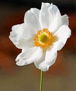 White Anemone Flower Paint By Numbers