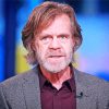 William h Macy Actor Paint By Numbers