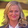 Amy Poehler As Leslie Knope Paint By Numbers