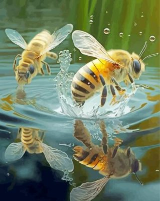 Bees Swimming Paint By Numbers