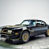Black 78 Firebird Trans AM Car Paint By Numbers