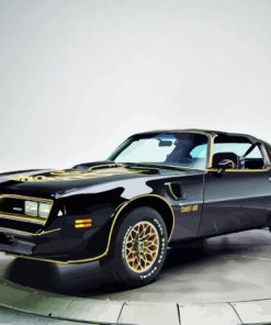 Black 78 Firebird Trans AM Car Paint By Numbers