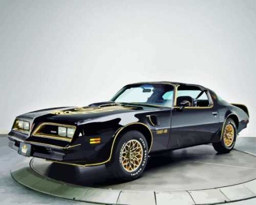 Black 78 Firebird Trans AM Car Paint By Numbers