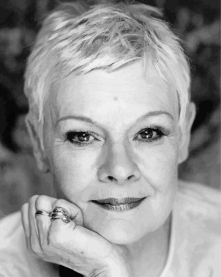 Black And White Judi Dench Actress Paint By Numbers