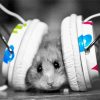Black And White Hamster With Headphones Paint By Numbers