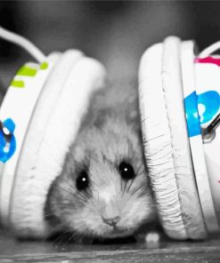 Black And White Hamster With Headphones Paint By Numbers