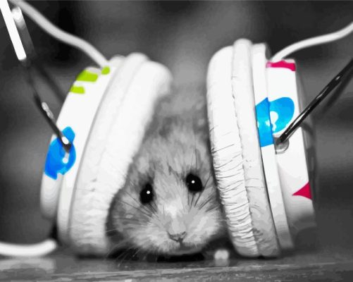 Black And White Hamster With Headphones Paint By Numbers