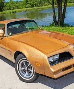 Brown 1977 Firebird Paint By Numbers