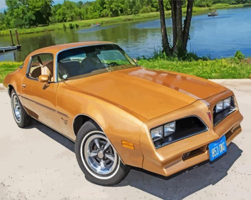 Brown 1977 Firebird Paint By Numbers