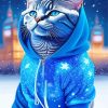 Cat In A Blue Hoodie Paint By Numbers
