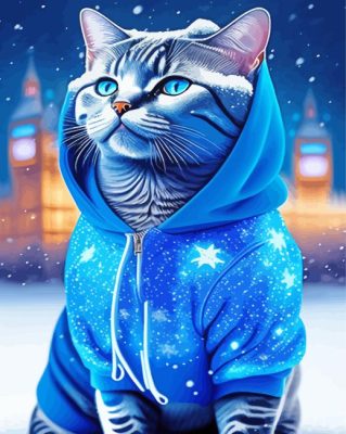 Cat In A Blue Hoodie Paint By Numbers