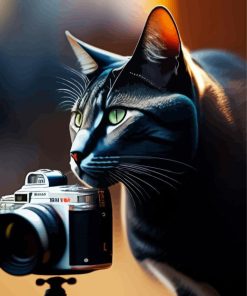 Photograph Cat Paint By Numbers