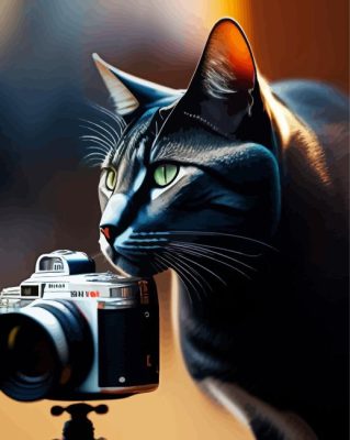 Photograph Cat Paint By Numbers