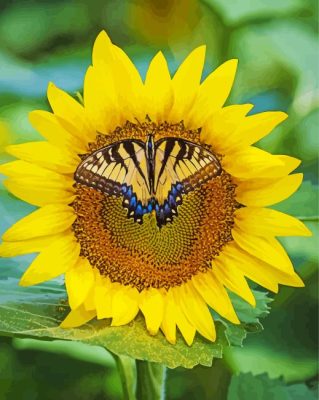 Yellow Sunflower Butterfly Paint By Numbers