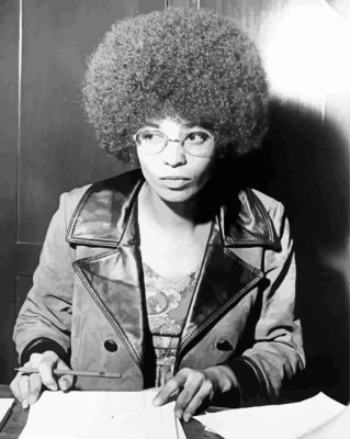 Young Black And White Angela Davis Paint By Numbers