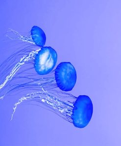 Blue Ocean Jellyfish Paint By Numbers