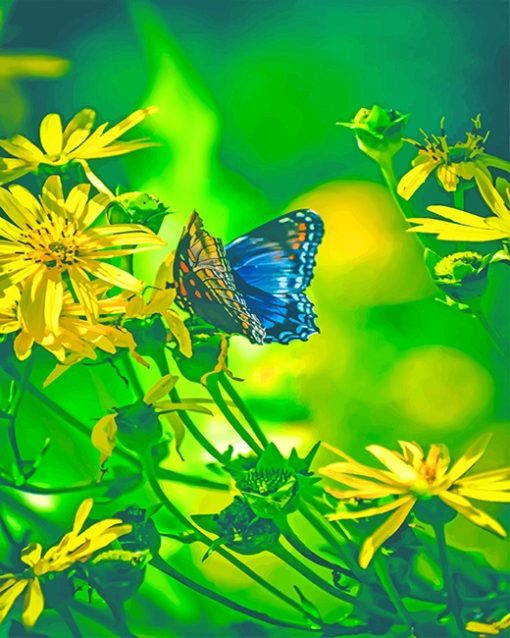 0Buterfly6-paint-by-numbers