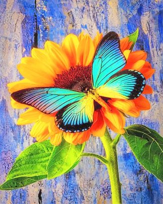 Butterfly and Sunflower Delight Paint By Numbers