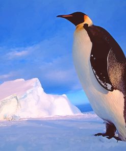Adorable Penguin Bird Paint By Numbers