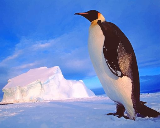 0Cute-Penguin-adult-paint-by-numbers