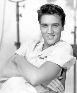 Elvis Presley American Icon Paint By Numbers