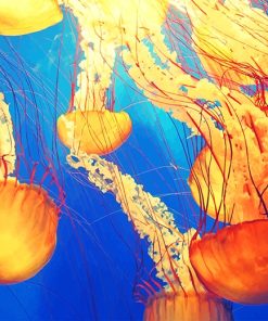 Jellyfish Ocean Scene Paint By Numbers
