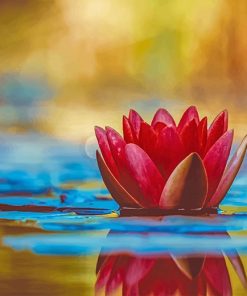 Pink Lotus Flower Paint By Numbers