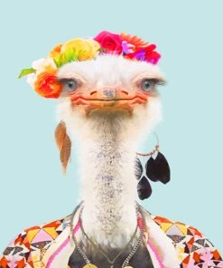 Common Ostrich Paint By Numbers