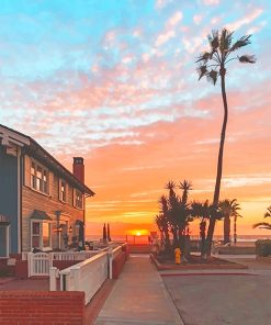 Los Angeles Palm Sunset Paint By Numbers