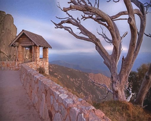 0australia-mount-buffalo-night-tree-Australia-paint-by-numbers
