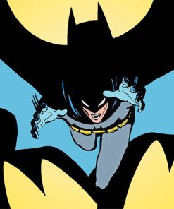 Batman Comic Hero Paint By Numbers