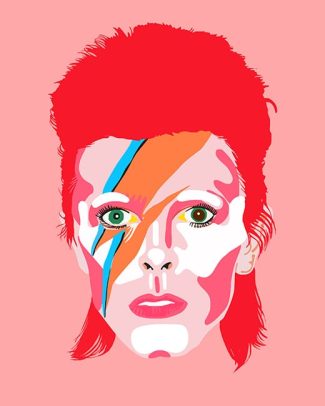 David Bowie Celebrity Singer Paint By Numbers