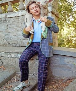 Harry Styles Lamb Companion Paint By Numbers