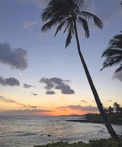 Beach Palm Trees Paint By Numbers