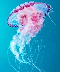 Pink Ocean Jellyfish Paint By Numbers