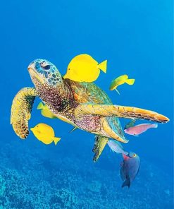 Sea Turtle and Ocean Life Paint By Numbers